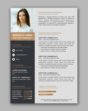 MODELLO CV SEATTLE SINGOLA PAGINA