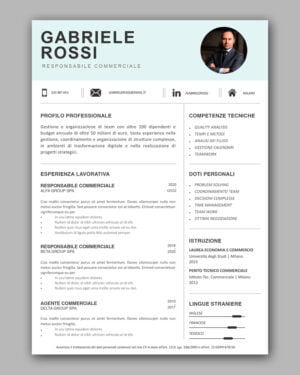 Modello curriculum da compilare TORONTO 1 pagina