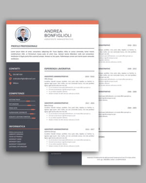 Modello curriculum da compilare VERNON 2 pagine